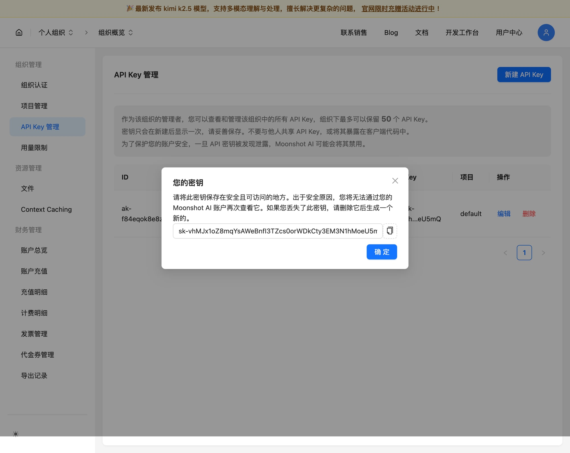 API Key 创建成功